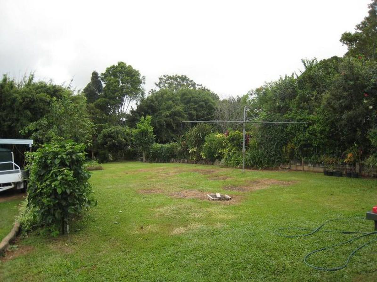 Tarzali