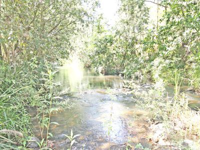 155 Gilmore Road , Mareeba