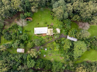 476 WALLACE ROAD, Terania Creek