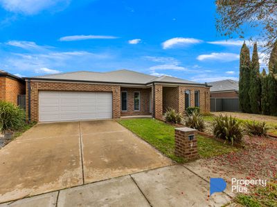 81 Greenfield Drive, Epsom