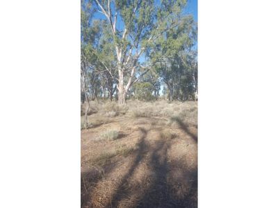 Lot 15 Edward River Road, Moulamein