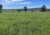117 HILLSIDE LANE, Daroobalgie