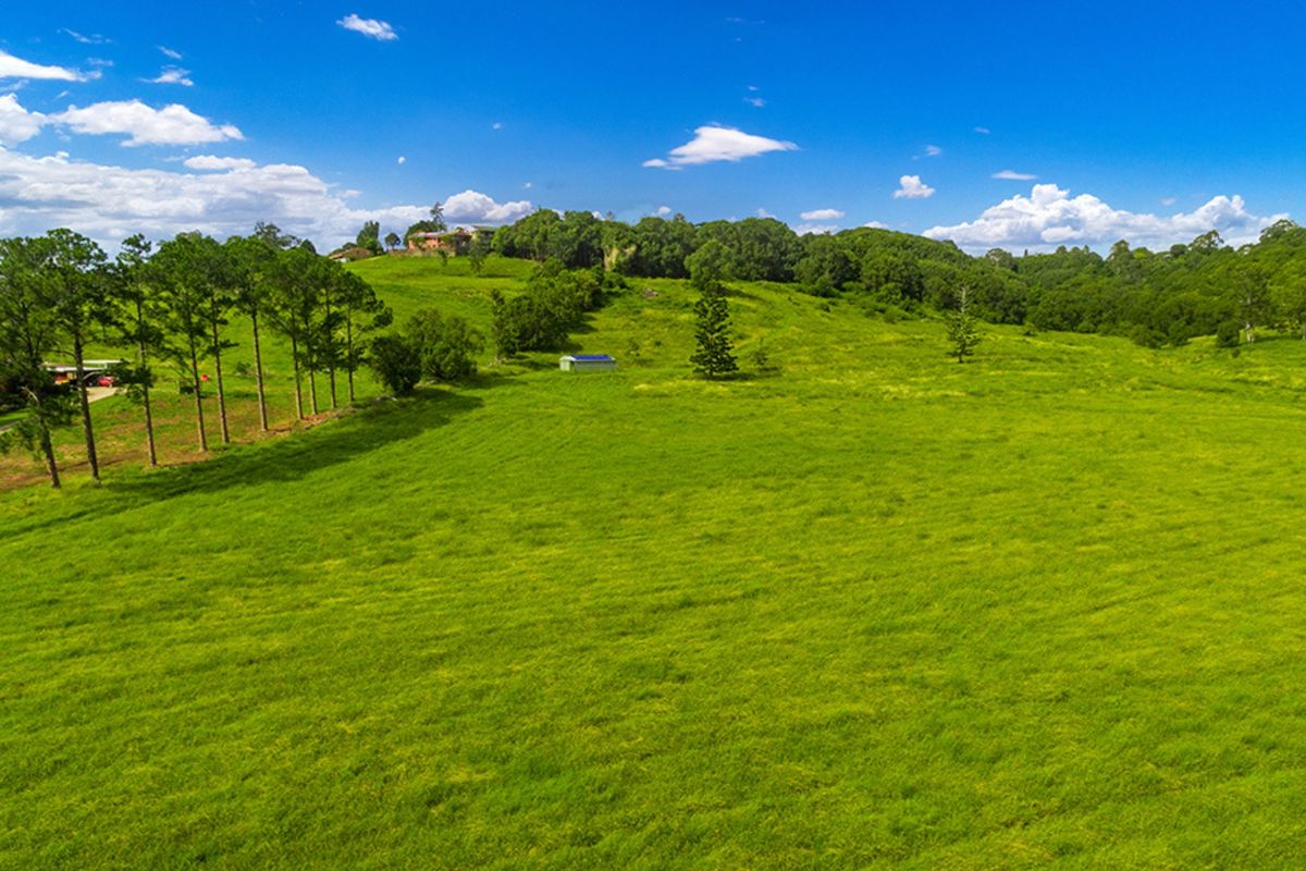 207 Bangalow Road, Howards Grass