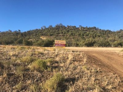 42 Bindea Place, Gunnedah