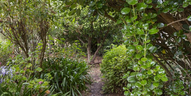 1028 Upper Boho Road, Boho South