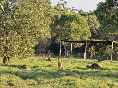 370 Mungomery Road, Takura