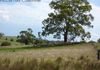129 Mt Top Road, Orange