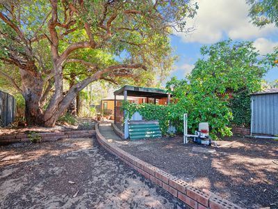 6 Napean Place, Armadale