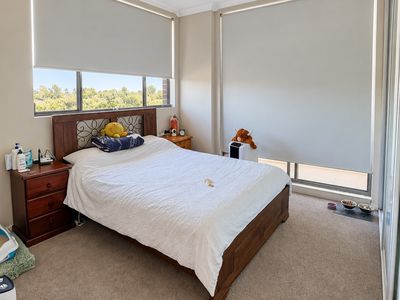 Mount Druitt