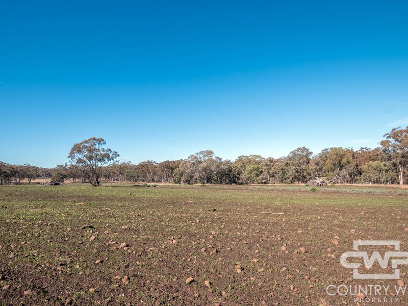 Lot 8, - Emmaville Road, Emmaville