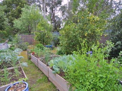 12 Salisbury Road, Mount Macedon