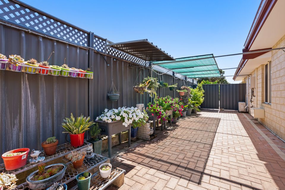 17 Bettong Street, Baldivis