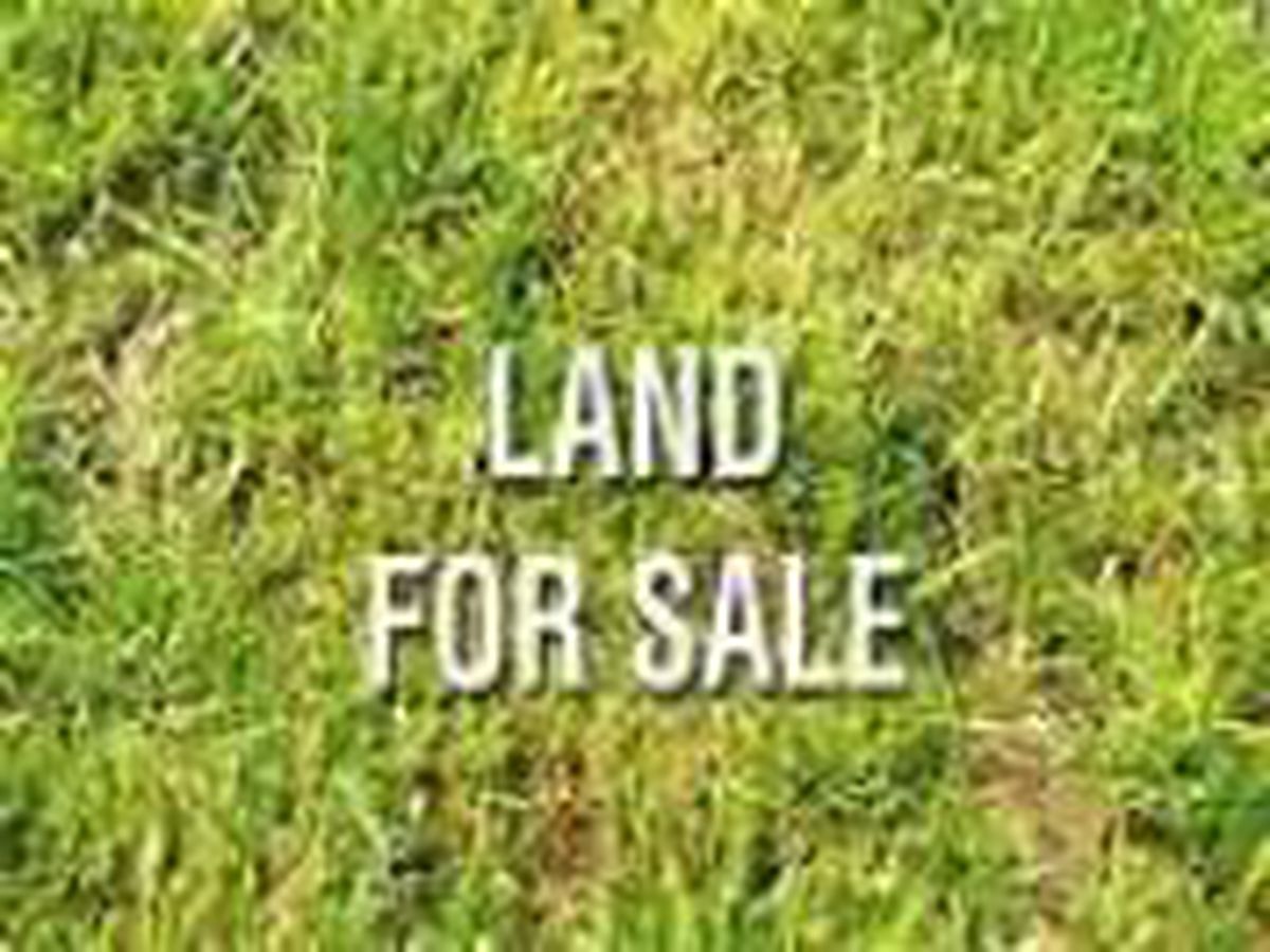 Lot 25, Halls Drive, Benalla