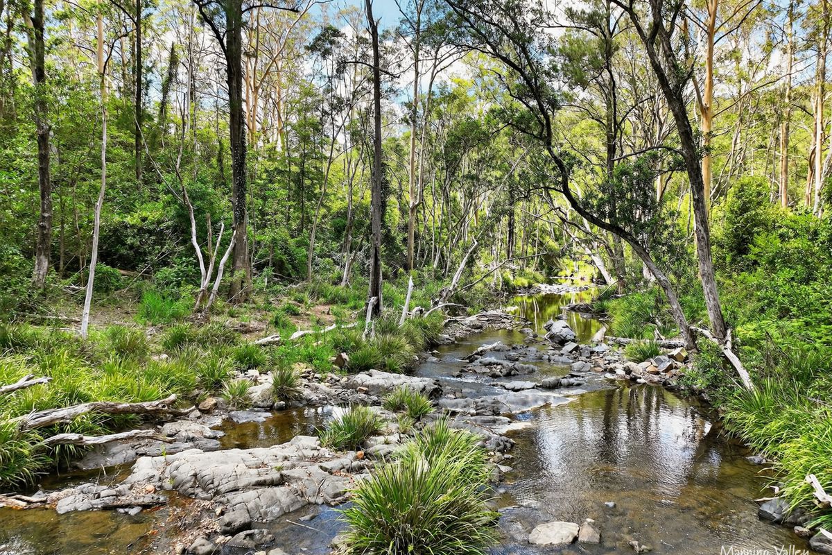 678 Caparra Road, Caparra