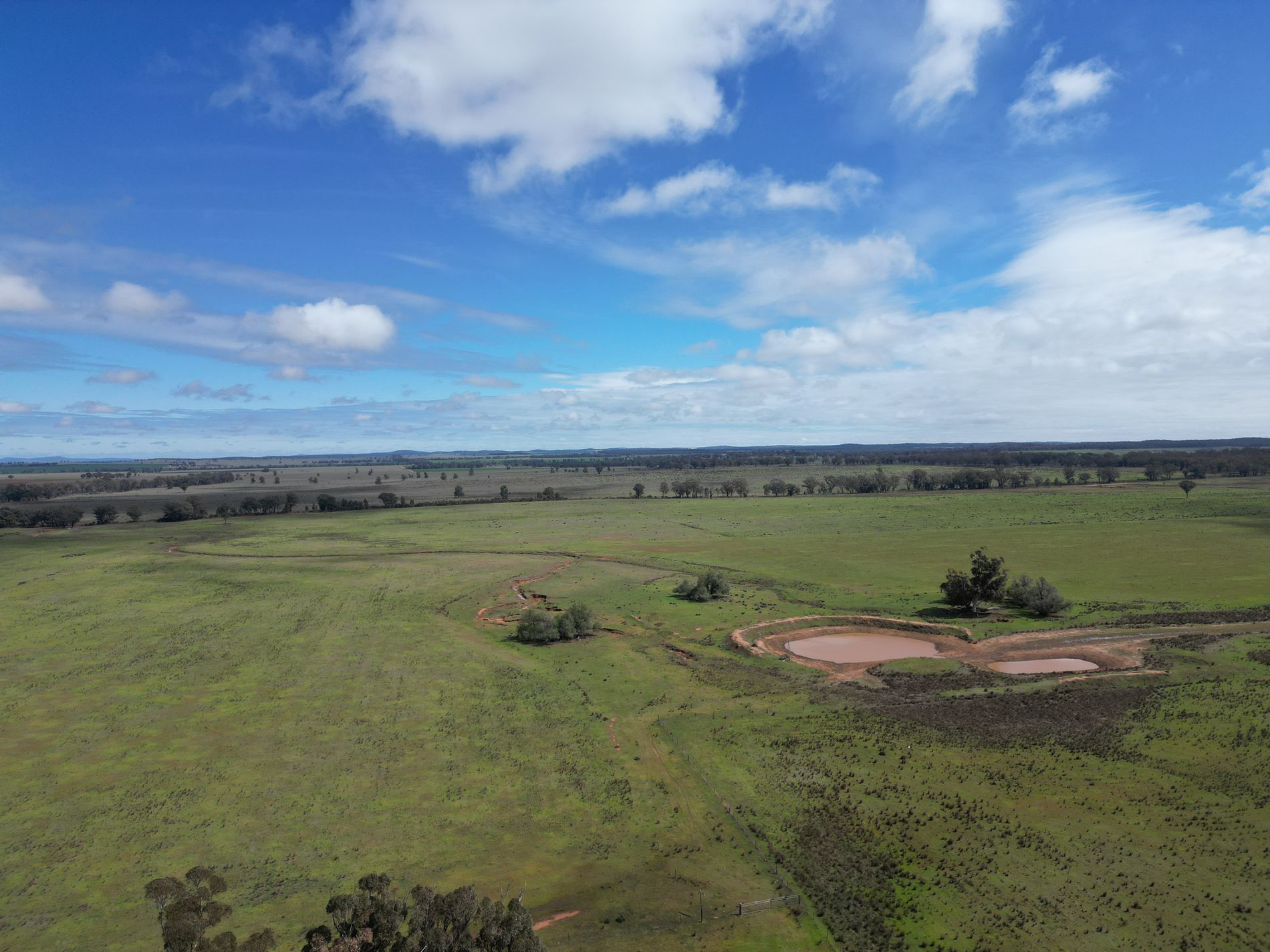 ' Dalmallee' 735 Charcoal Tank Road, West Wyalong