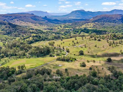1884 Nimbin Road, Coffee Camp