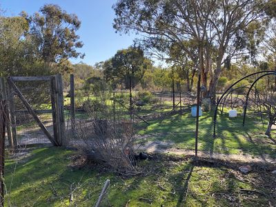 814 Brenanah-Wehla Road, Brenanah