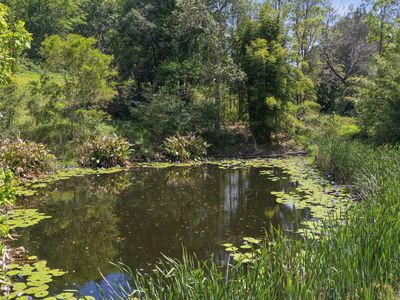 Share D5 / 1158 Pinchin Road, The Channon