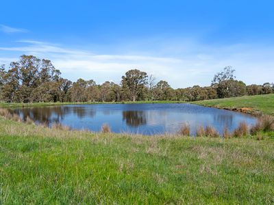801 Midland Link Highway, Maindample