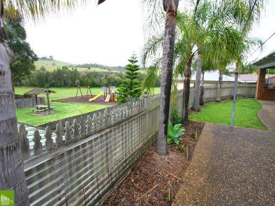 Blackbutt