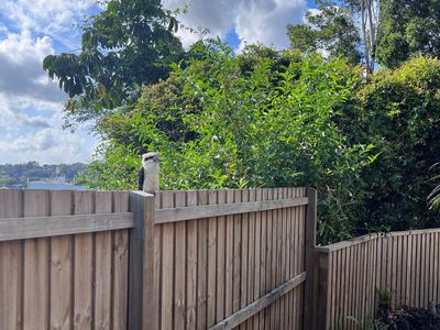 46 Scenic Drive, Tweed Heads West
