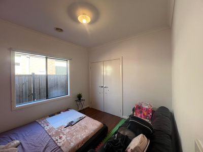 24 Ballantine Street, Tarneit