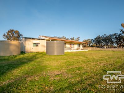 3889 Nullamanna Road, Wellingrove