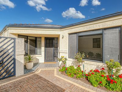 55B Reynolds Road, Mount Pleasant