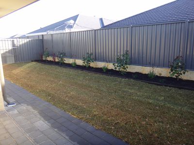 37 Teasel Way, Banksia Grove