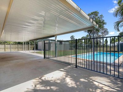 66 Ibis Boulevard, Eli Waters