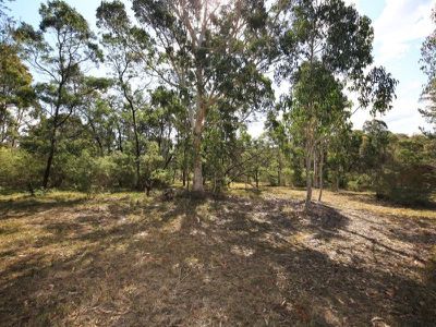 16 Jenanter Drive, Kangaroo Valley
