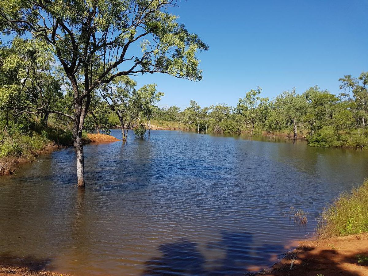 Lot 24, Peninsular Development Rd, Lakeland