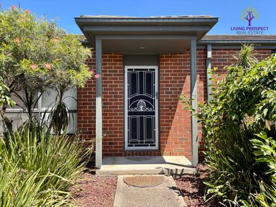 8 McCauley Street, Point Cook