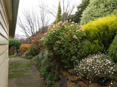 269 Braeside Road, Franklin