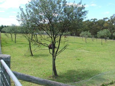 25 Red Hill Road, Stannum