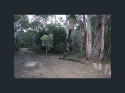 7  Fairlawn Place , Molloy Island
