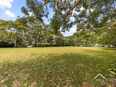 233/11 Potter Street, Waterloo