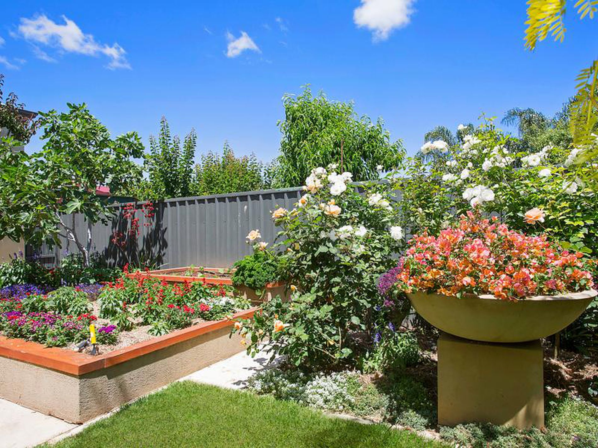 25A Lindsay Avenue, Edwardstown