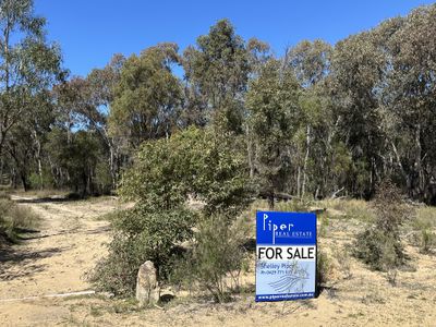 147 Tillie Willie Road, Coolah