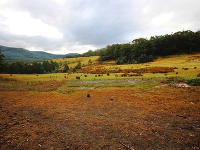 Lot 2 Huon Highway, Dover