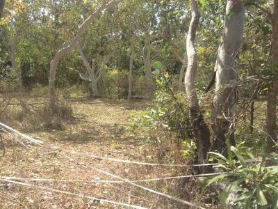 2 Hutchinson Street, Cooktown