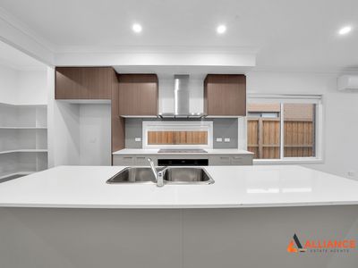 21 Cheddar Street, Donnybrook