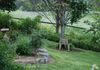 * Boomey Stud Homestead - Euchareena Road, Molong