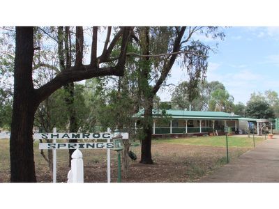 65 Reading Road, Gunnedah