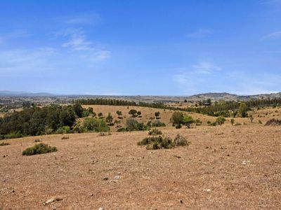 329 Tallegalla Two Tree Hill Road, Minden
