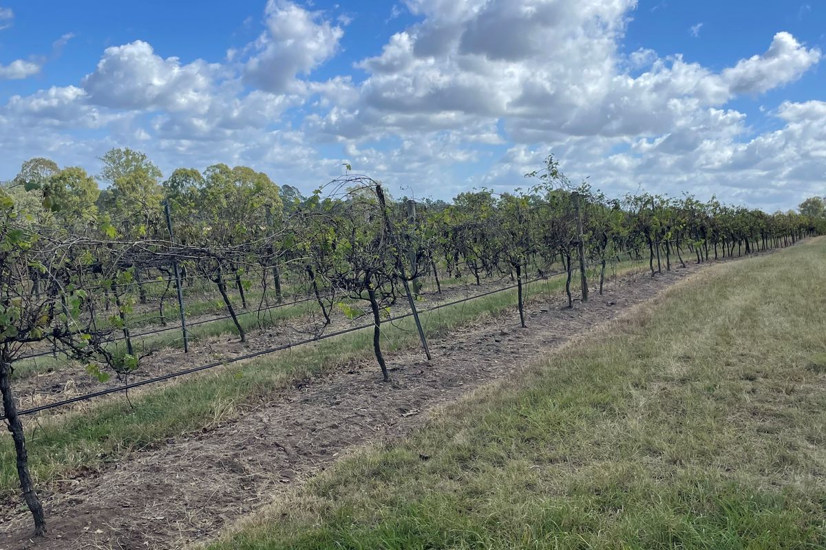 Lot Lot 13 On SP 164034, Corner Burnett Highway & Barambah Road, Moffatdale