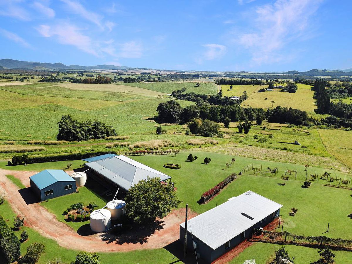 49 Forrester, Malanda