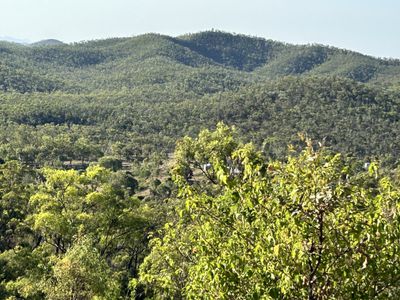 494 Yeppoon Road, Limestone Creek