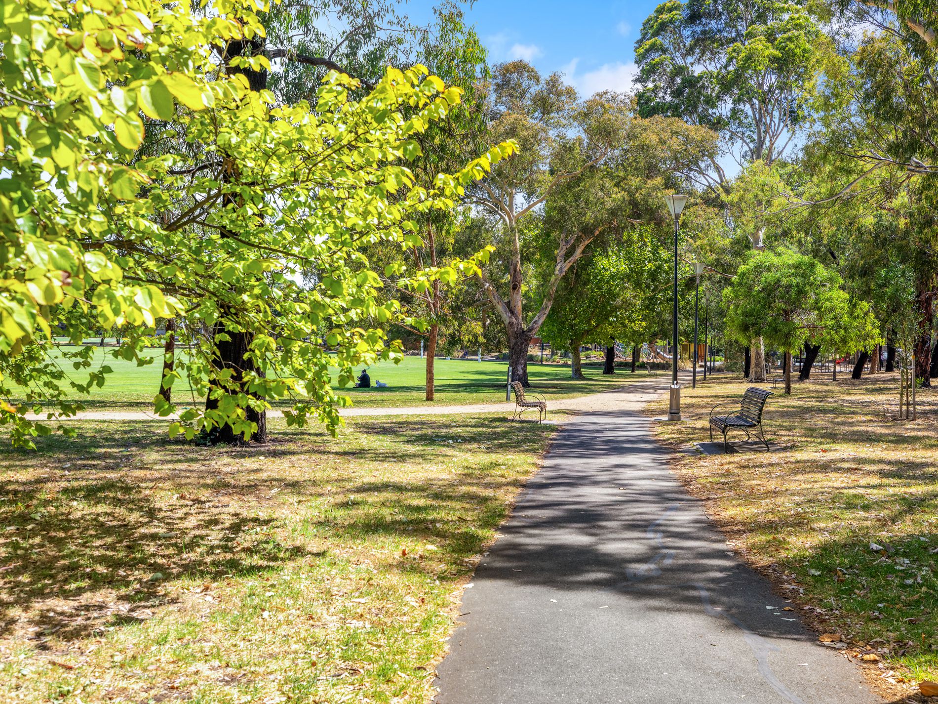 126 Tennyson Street, Kensington