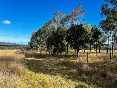 Lot B, 64 Porcupine Lane, Tamworth